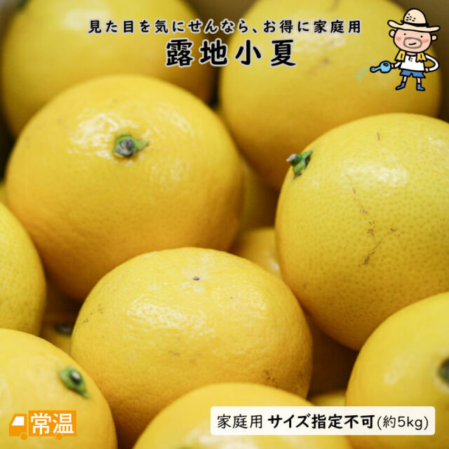 家庭用　露地小夏　5kg(サイズ指定不可)