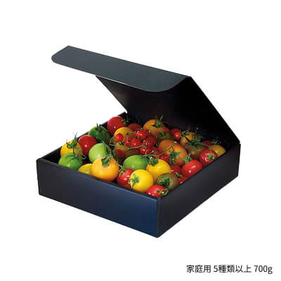 プティリサジュエルボックス