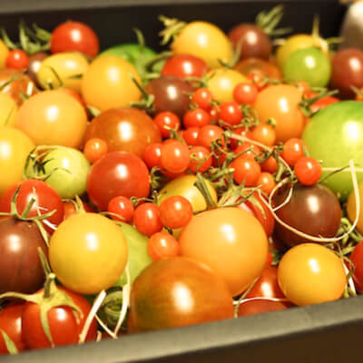 プティリサジュエルボックス