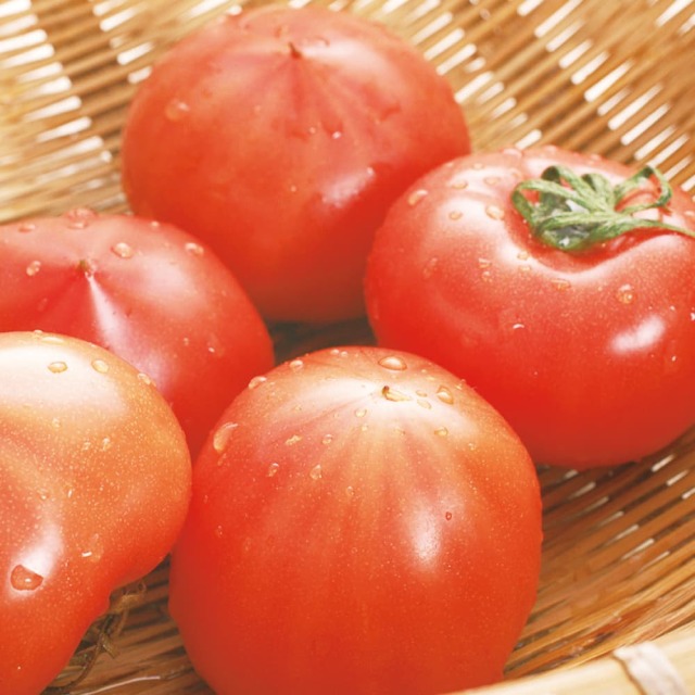 おかざき農園　リサ・フルーツトマト　1?s