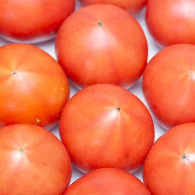 おかざき農園　リサ・フルーツトマト　1?s