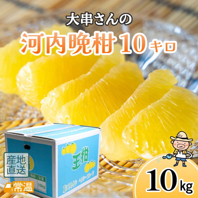 大串さんの河内晩柑 10キロ | 高知県土佐町【すえひろ屋】
