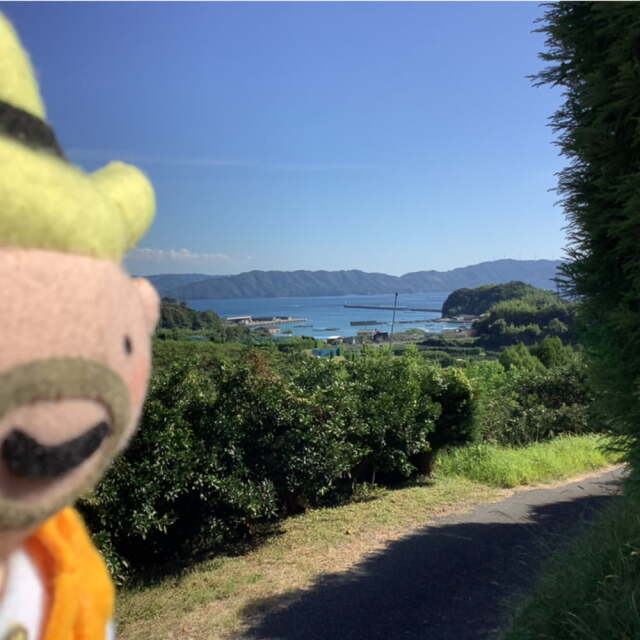 大串さんの河内晩柑　10キロ