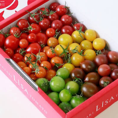 リサ・ミニトマトアソート　家庭用　1kg