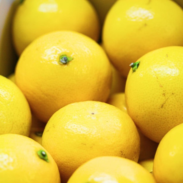 大串さんの露地小夏　家庭用　2.5kg