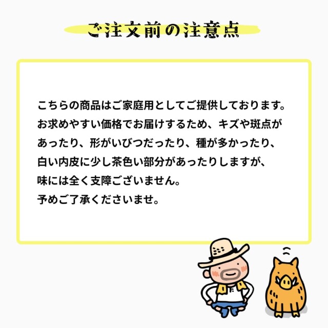大串さんの露地小夏　家庭用　2.5kg