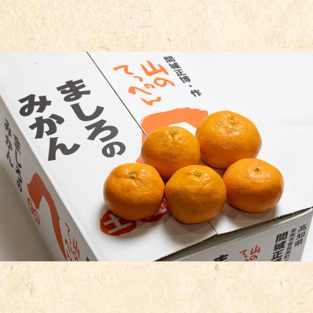 間城さんのみかん 2L・5kg