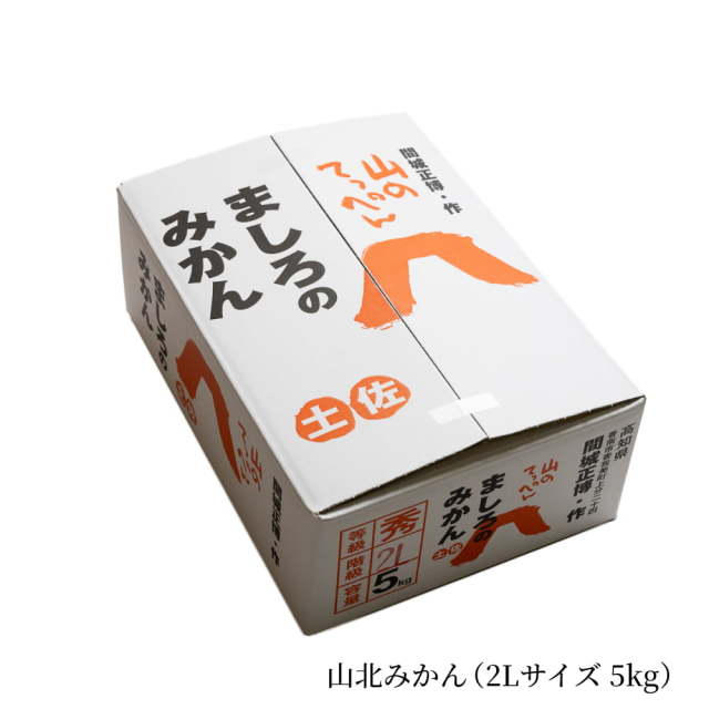 間城さんのみかん 2L・5kg