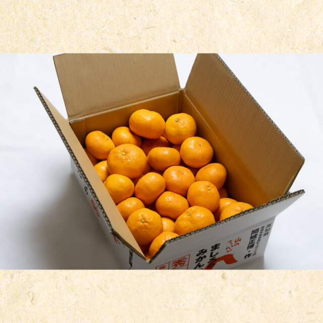 Amazon.co.jp: [冷凍] 赤城乳業 ガツン、とみかん マルチ 58ml×5