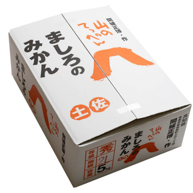 間城さんのみかん 2L・5kg