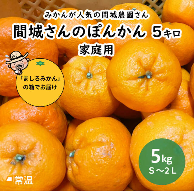 山のごちそう>果物 | 高知県土佐町【すえひろ屋】