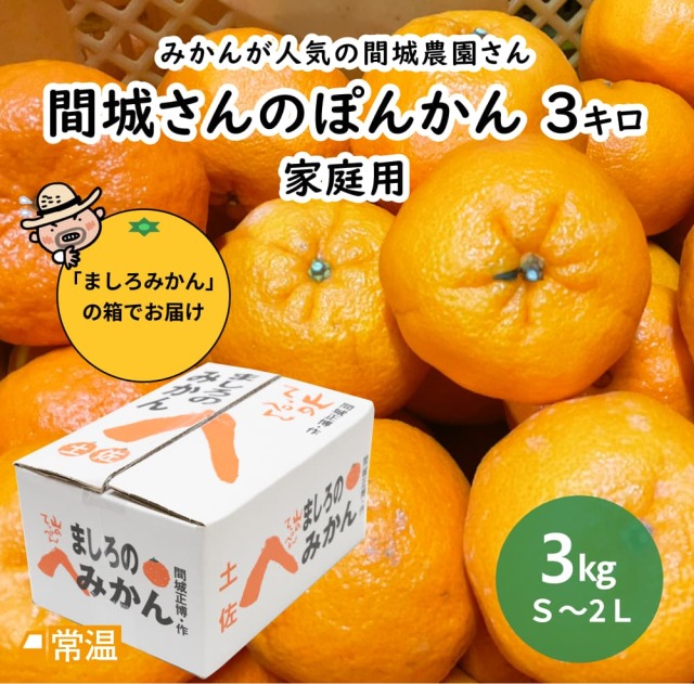 間城農園 ぽんかん 家庭用 3?s