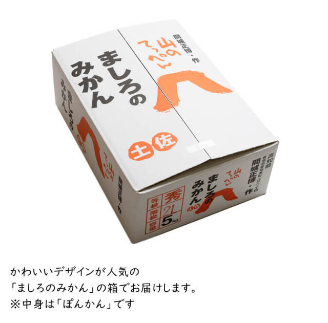 間城さんのぽんかん　ギフト用　5キロ
