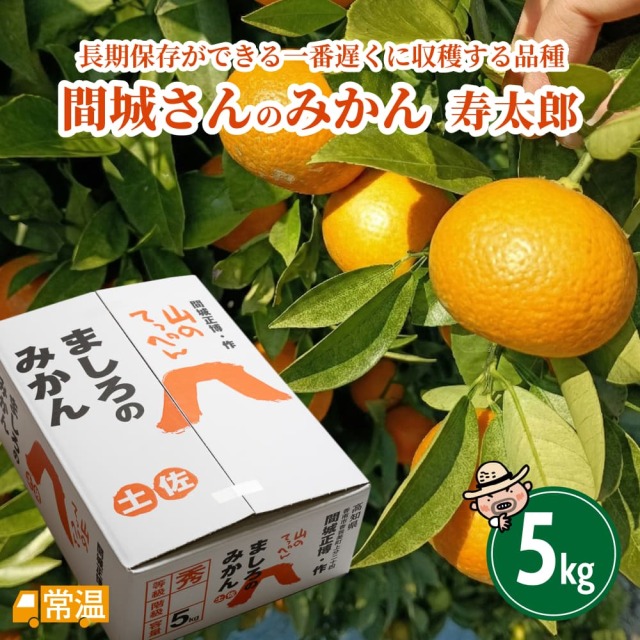 間城農園 みかん(寿太郎) 5kg