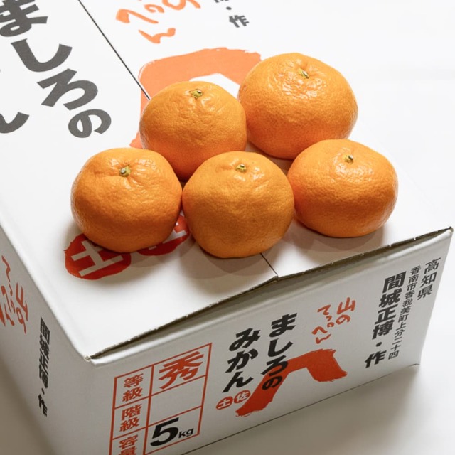 間城農園　みかん（寿太郎）　5kg
