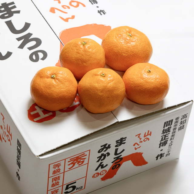 間城さんのみかん Lサイズ 5?s