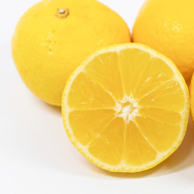 間城農園　黄金柑（おうごんかん）　家庭用2.5kg