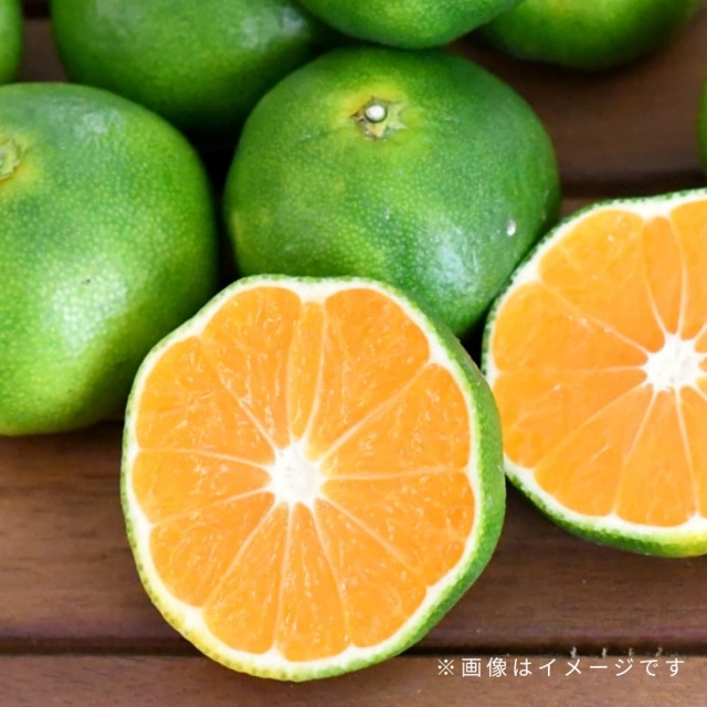 間城さんのグリーンみかん 3kg