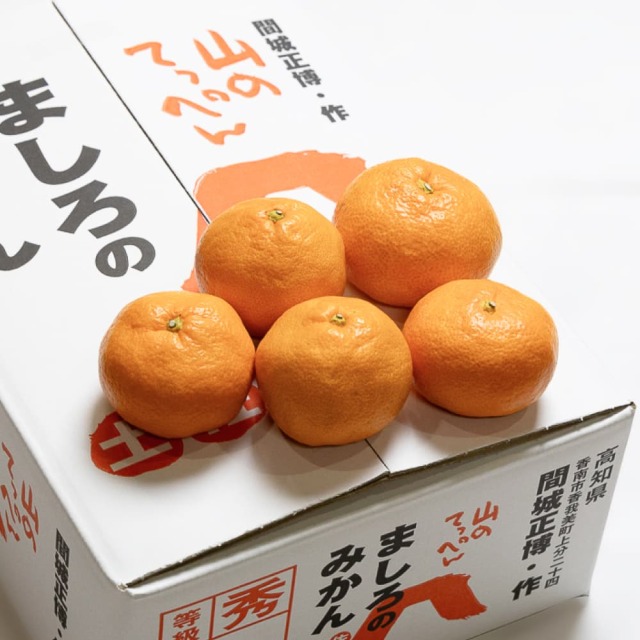間城さんのみかん 小玉3kg