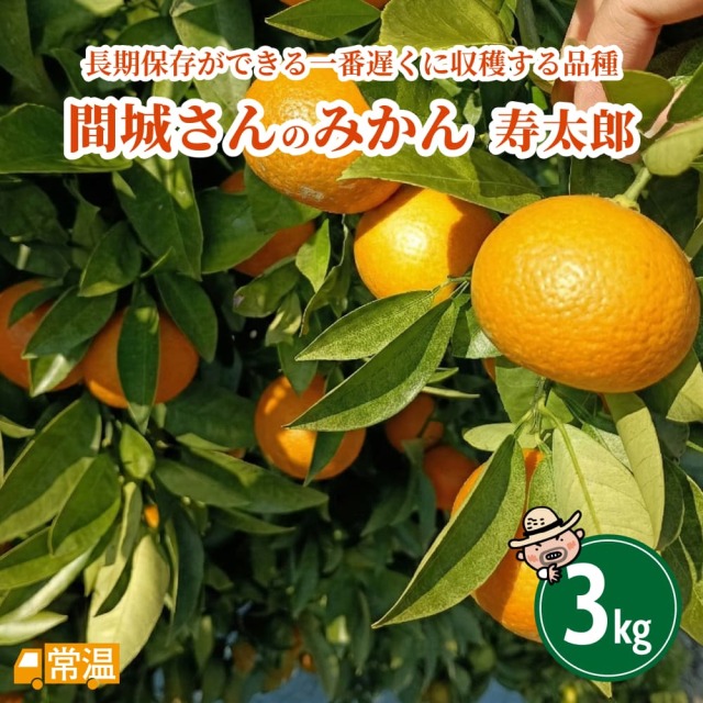 間城農園 みかん(寿太郎) 3kg