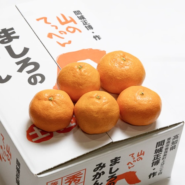 間城農園　みかん（寿太郎）　3kg