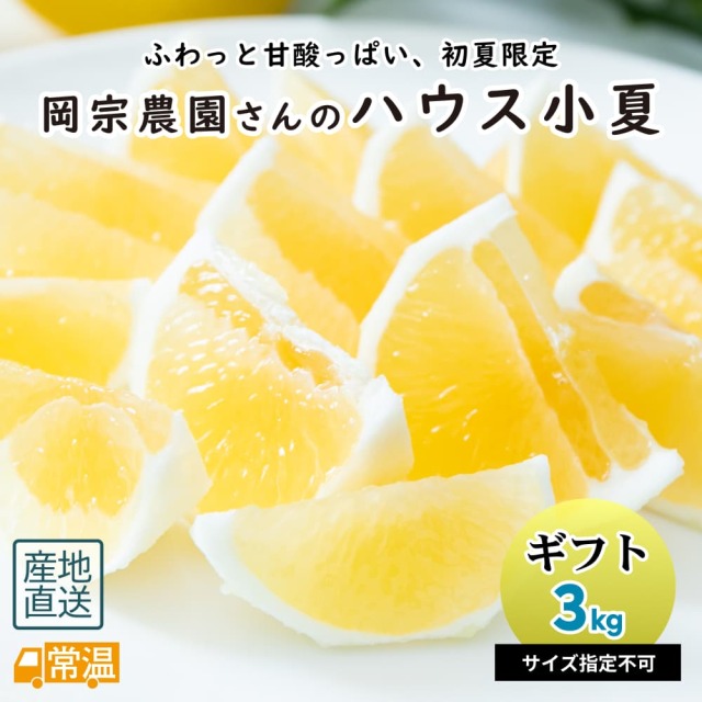 岡宗農園さんのギフト用小夏 3kg