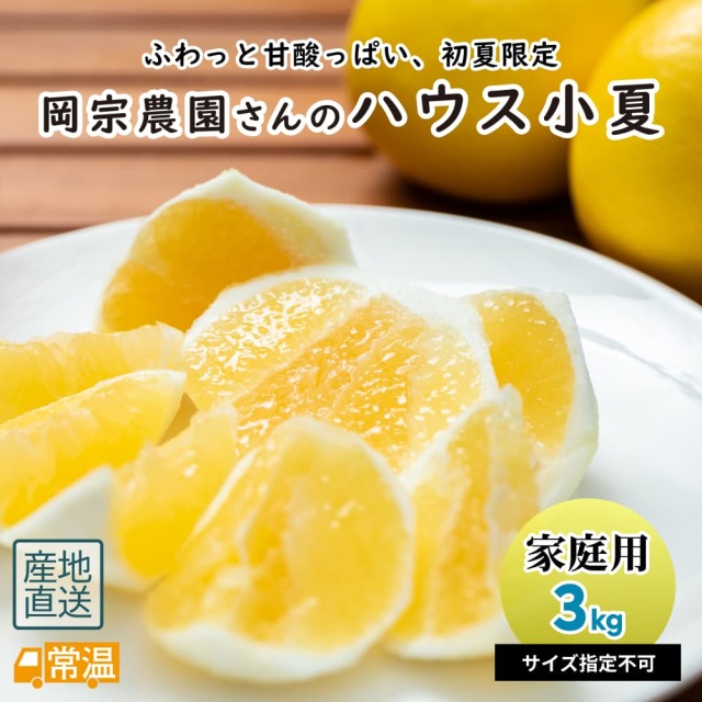 岡宗農園さんの家庭用小夏 3kg