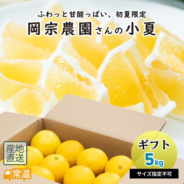 岡宗農園さんのギフト用小夏　5kg