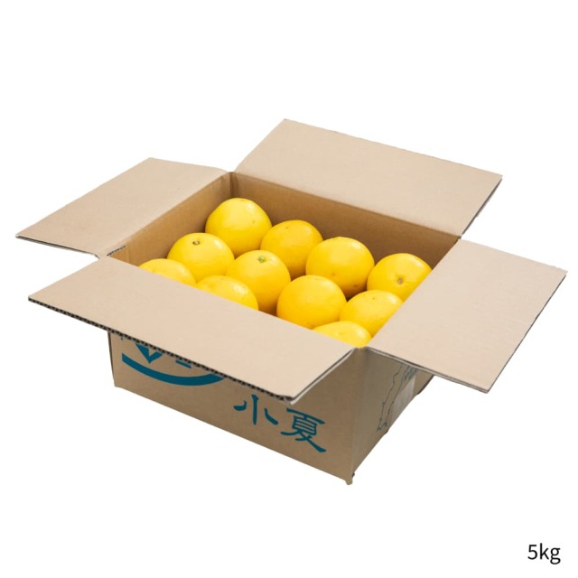 岡宗農園さんのギフト用小夏　5kg