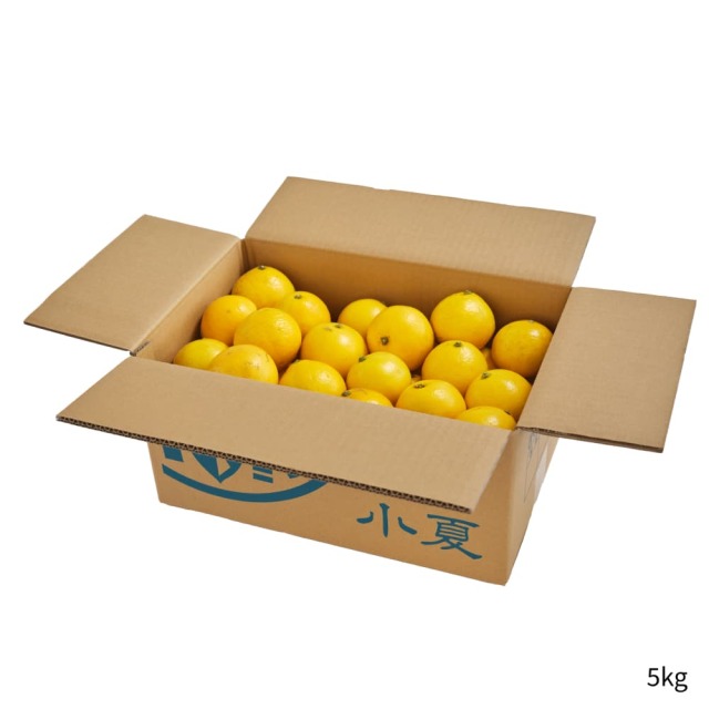 岡宗農園さんの家庭用小夏　5kg