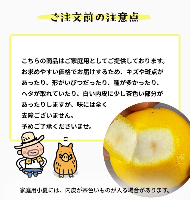 岡宗農園さんの家庭用小夏　5kg