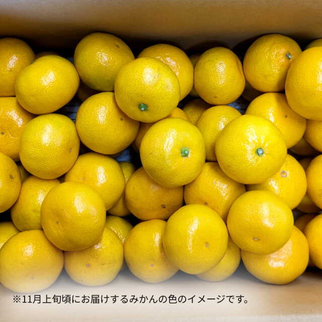 岡宗農園さんのみかん　ギフト用　3kg