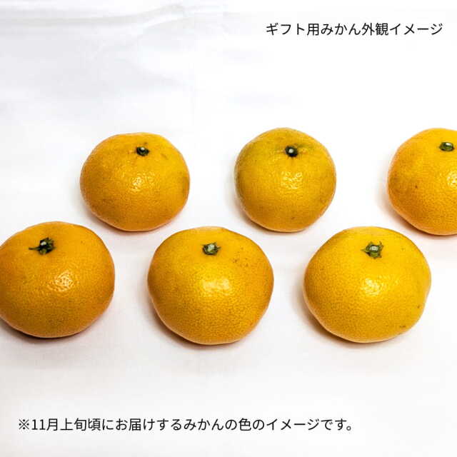 岡宗農園さんのみかん　ギフト用　3kg
