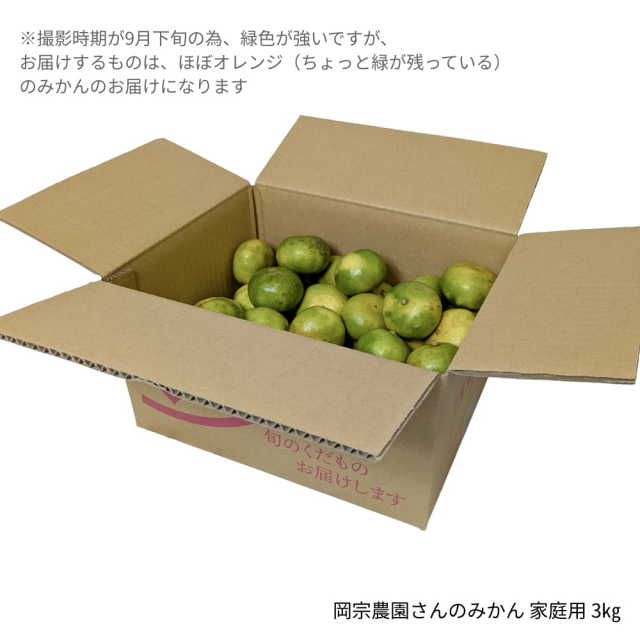 岡宗農園さんのみかん　家庭用　3kg