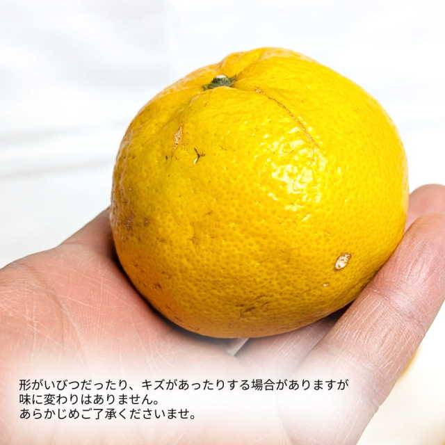 岡宗農園さんのみかん　家庭用　3kg