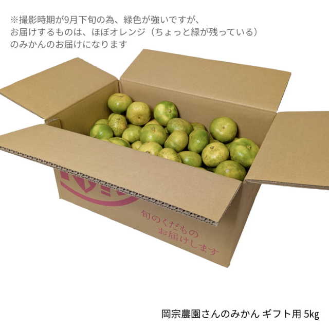 岡宗農園さんのみかん　ギフト用　5kg