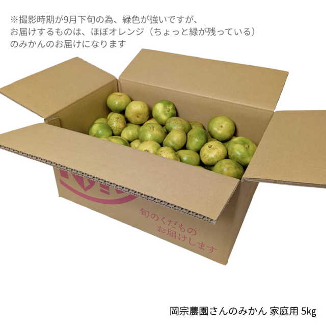 岡宗農園さんのみかん　家庭用　5kg