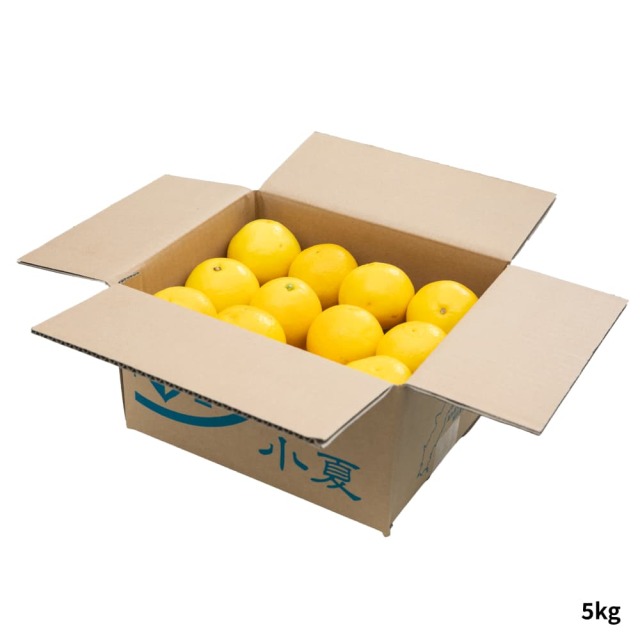 岡宗農園さん露地小夏 ｷﾞﾌﾄ用 3kg