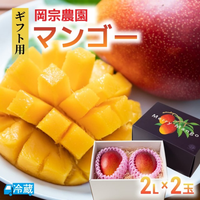 岡宗農園 ギフト用マンゴー 2Lサイズ2玉 