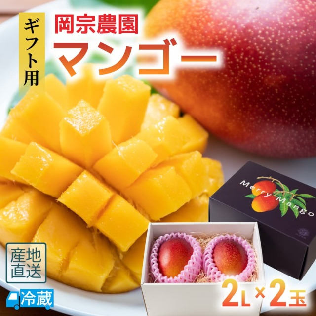 岡宗農園 ギフト用マンゴー 2Lサイズ2玉