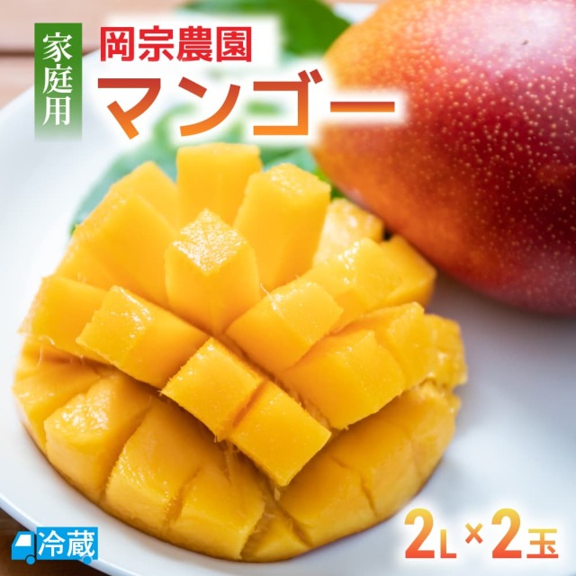 岡宗農園 家庭用マンゴー 2Lサイズ2玉 