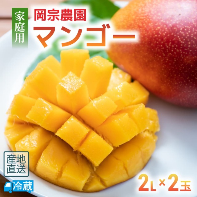 岡宗農園 家庭用マンゴー 2Lサイズ2玉