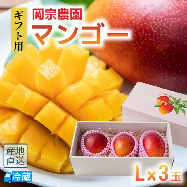岡宗農園ギフト用マンゴー Lサイズ3玉