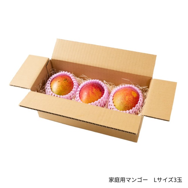岡宗農園 家庭用マンゴー Lサイズ3玉