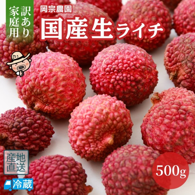 岡宗農園　訳あり家庭用　生ライチ500g
