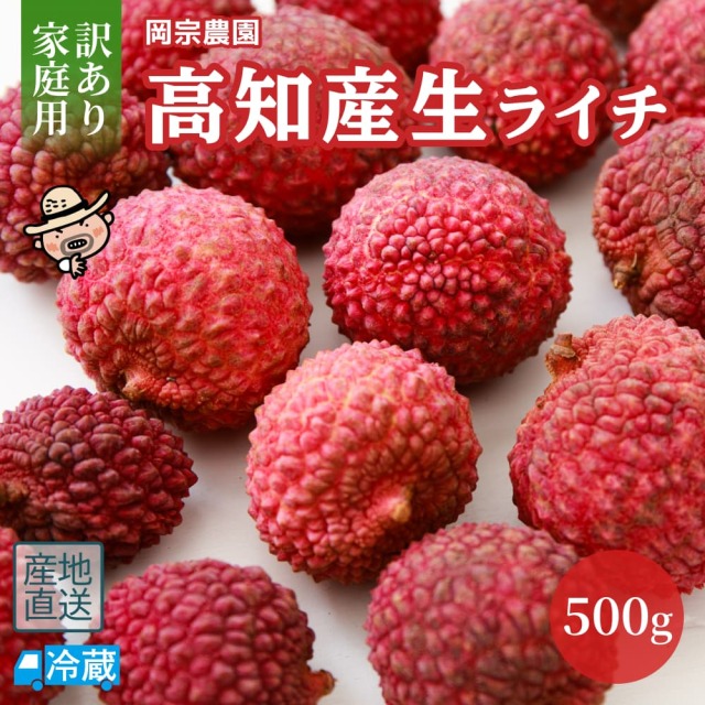 岡宗農園　訳あり家庭用　生ライチ500g