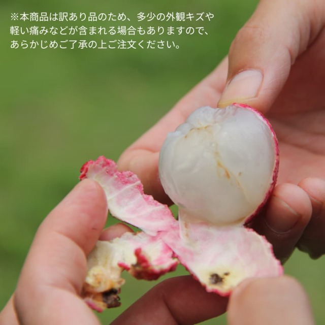 岡宗農園　訳あり家庭用　生ライチ500g