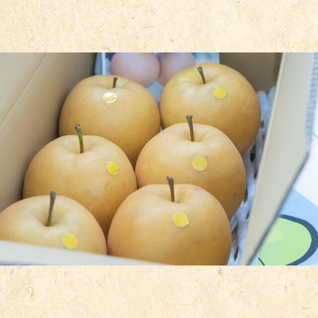 黒岩産新高梨5玉入(約4kg)?
