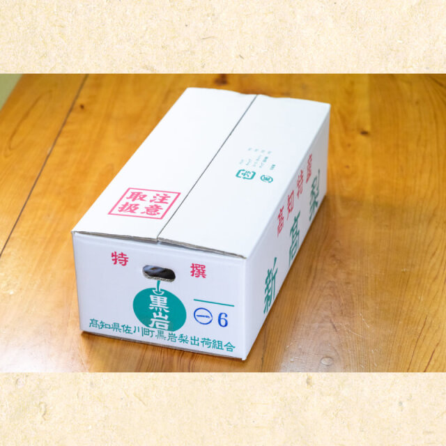 黒岩産新高梨5玉入(約4kg)?