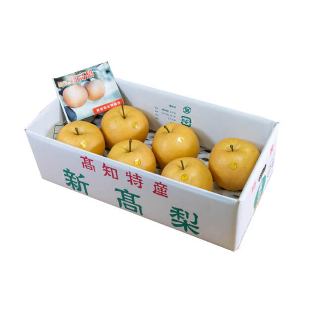 黒岩産新高梨6玉入(約4kg)